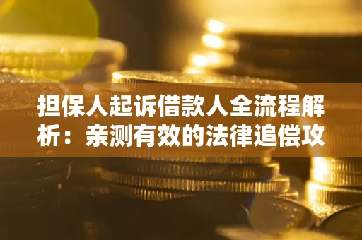 济南担保人起诉借款人全流程解析：亲测有效的法律追偿攻略