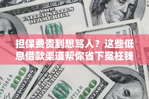 济南担保费贵到想骂人？这些低息借款渠道帮你省下冤枉钱