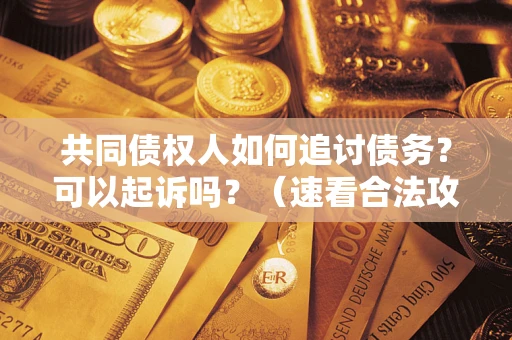 济南共同债权人如何追讨债务？可以起诉吗？（速看合法攻略）
